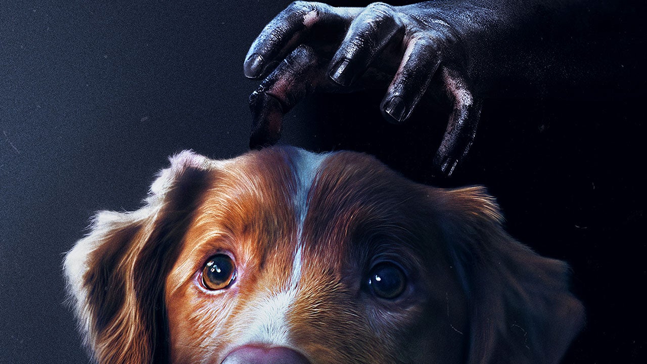Good Boy