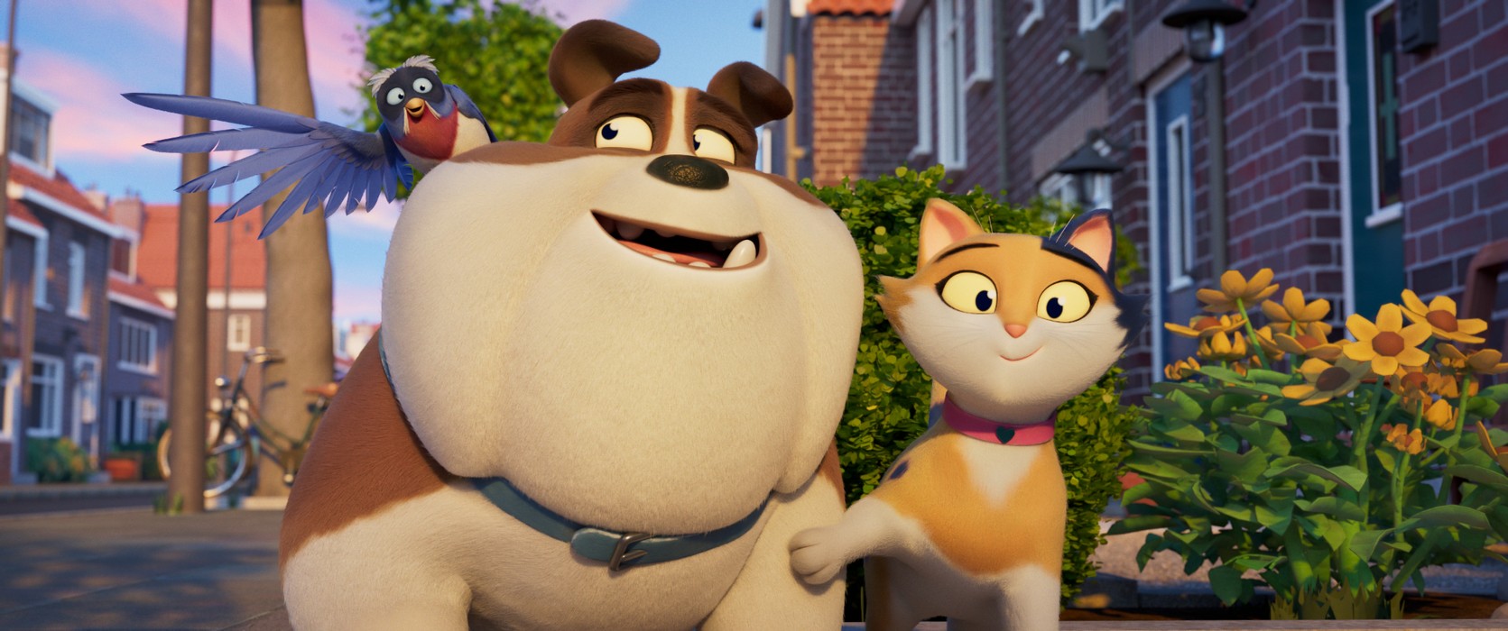 Miss Moxy. Kocia ekipa